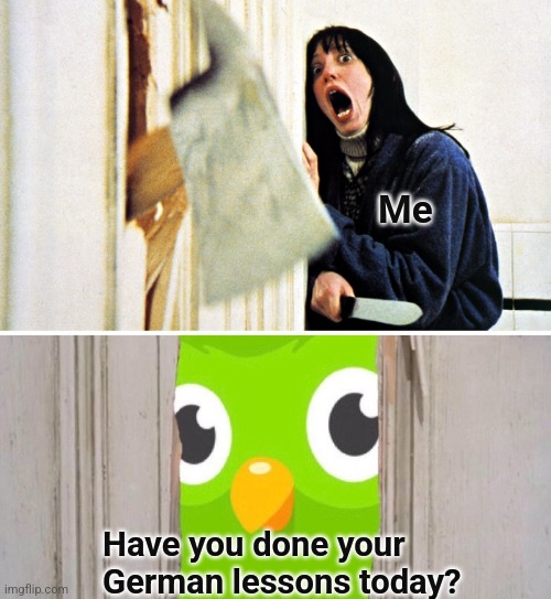Duo wants to know if you’re doing your German lessons |  Me; Have you done your German lessons today? | image tagged in duolingo,evil duo,german,psycho,axe,door | made w/ Imgflip meme maker