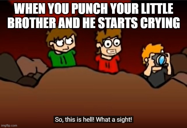 Haha! I'm in danger! |  WHEN YOU PUNCH YOUR LITTLE BROTHER AND HE STARTS CRYING | image tagged in so this is hell,eddsworld,hell,mecjenyal | made w/ Imgflip meme maker