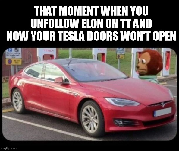 tesla | THAT MOMENT WHEN YOU UNFOLLOW ELON ON TT AND NOW YOUR TESLA DOORS WON'T OPEN | image tagged in elon musk | made w/ Imgflip meme maker