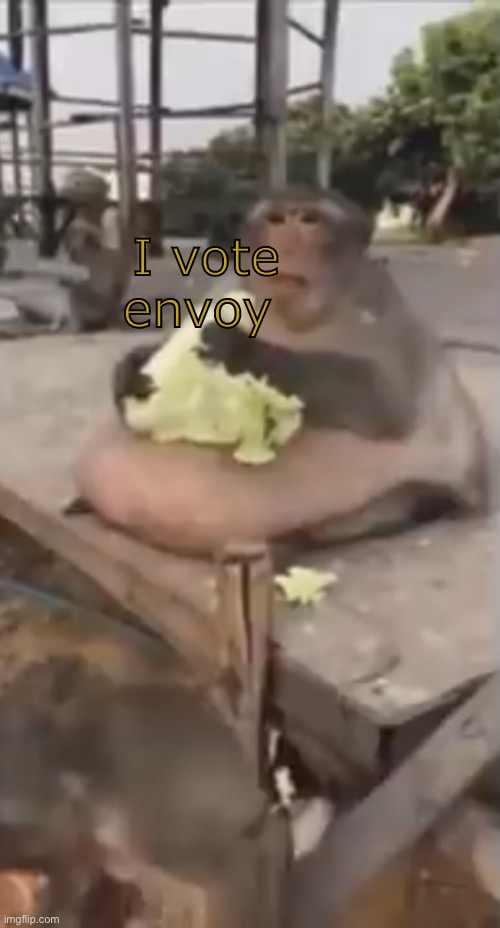 me vote | I vote envoy | made w/ Imgflip meme maker