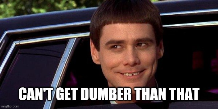 dumb and dumber | CAN'T GET DUMBER THAN THAT | image tagged in dumb and dumber | made w/ Imgflip meme maker