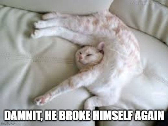 Ouch? | DAMNIT, HE BROKE HIMSELF AGAIN | image tagged in funny cats | made w/ Imgflip meme maker