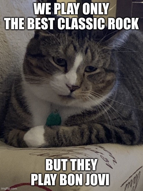 Murrie The Cat | WE PLAY ONLY THE BEST CLASSIC ROCK; BUT THEY PLAY BON JOVI | image tagged in murrie the cat | made w/ Imgflip meme maker