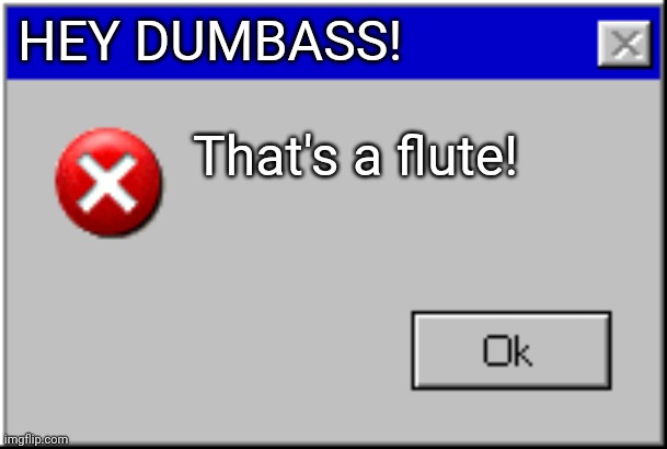 Windows Error Message | HEY DUMBASS! That's a flute! | image tagged in windows error message | made w/ Imgflip meme maker