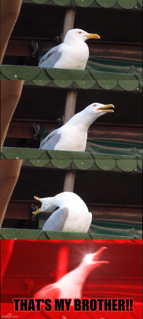 Inhaling Seagull Meme | THAT'S MY BROTHER!! | image tagged in memes,inhaling seagull | made w/ Imgflip meme maker