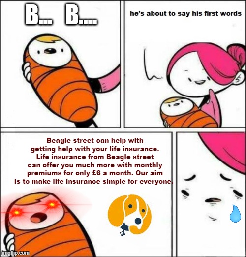 nothing to put here olo | B...   B.... Beagle street can help with getting help with your life insurance. Life insurance from Beagle street can offer you much more with monthly premiums for only £6 a month. Our aim is to make life insurance simple for everyone. | image tagged in he is about to say his first words | made w/ Imgflip meme maker
