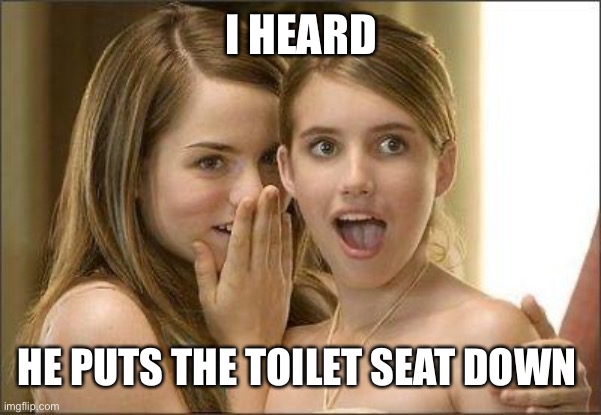 Girls gossiping | I HEARD; HE PUTS THE TOILET SEAT DOWN | image tagged in girls gossiping | made w/ Imgflip meme maker