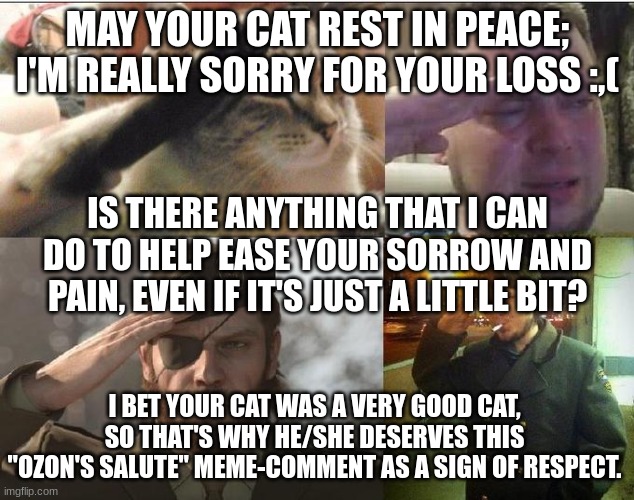 Ozon's Salute | MAY YOUR CAT REST IN PEACE;
I'M REALLY SORRY FOR YOUR LOSS :,( IS THERE ANYTHING THAT I CAN DO TO HELP EASE YOUR SORROW AND PAIN, EVEN IF IT | image tagged in ozon's salute | made w/ Imgflip meme maker