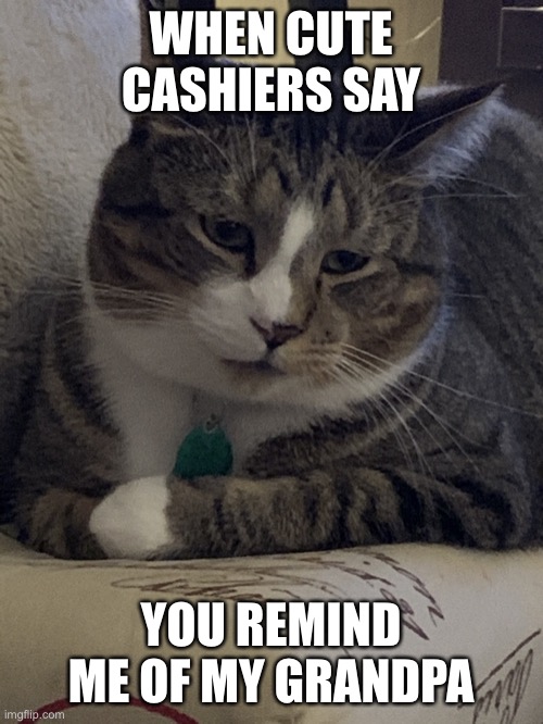 Murrie The Cat | WHEN CUTE CASHIERS SAY; YOU REMIND ME OF MY GRANDPA | image tagged in murrie the cat | made w/ Imgflip meme maker