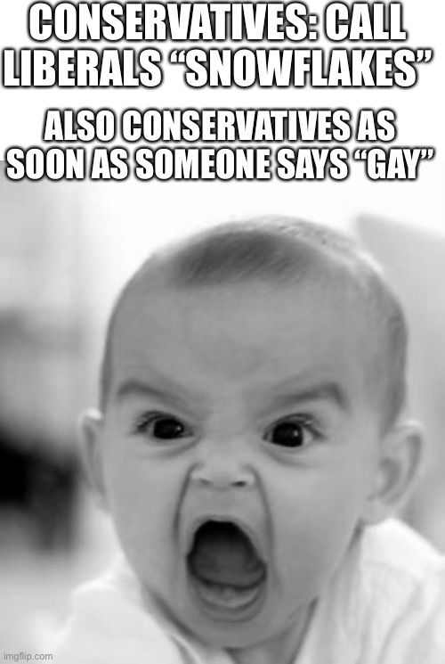 They call us sensitive but as soon as someone wants to educate them on LGBTQ+ they get mad and try to cancel Disney | CONSERVATIVES: CALL LIBERALS “SNOWFLAKES”; ALSO CONSERVATIVES AS SOON AS SOMEONE SAYS “GAY” | image tagged in memes,angry baby,conservatives,liberals | made w/ Imgflip meme maker