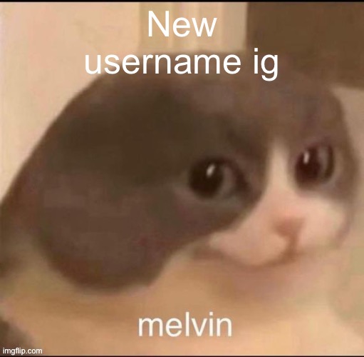 melvin | New username ig | image tagged in melvin | made w/ Imgflip meme maker