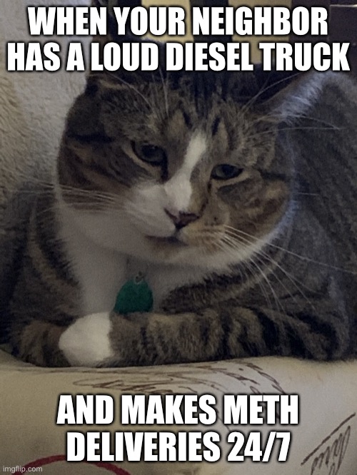 Murrie The Cat | WHEN YOUR NEIGHBOR HAS A LOUD DIESEL TRUCK; AND MAKES METH DELIVERIES 24/7 | image tagged in murrie the cat | made w/ Imgflip meme maker