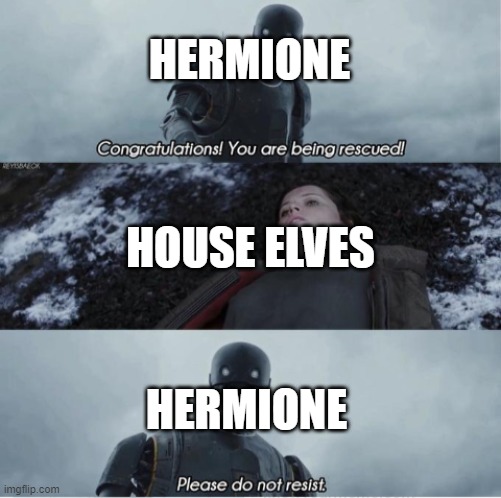 "I'm clearly smarter than you, and I'm telling you that you should not be treated like you're dumb!" | HERMIONE; HOUSE ELVES; HERMIONE | image tagged in congratulations you are being rescued please do not resist | made w/ Imgflip meme maker