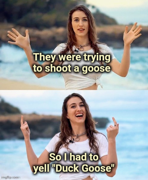 Beach joke | They were trying to shoot a goose So I had to yell "Duck Goose" | image tagged in beach joke | made w/ Imgflip meme maker
