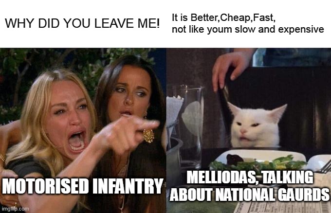 Woman Yelling At Cat Meme | WHY DID YOU LEAVE ME! It is Better,Cheap,Fast, not like youm slow and expensive; MOTORISED INFANTRY; MELLIODAS, TALKING ABOUT NATIONAL GAURDS | image tagged in memes,woman yelling at cat | made w/ Imgflip meme maker