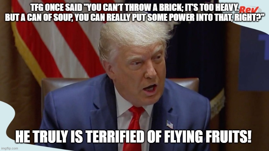 Trump Soup | TFG ONCE SAID "YOU CAN’T THROW A BRICK; IT’S TOO HEAVY. BUT A CAN OF SOUP, YOU CAN REALLY PUT SOME POWER INTO THAT, RIGHT?"; HE TRULY IS TERRIFIED OF FLYING FRUITS! | image tagged in trump soup | made w/ Imgflip meme maker