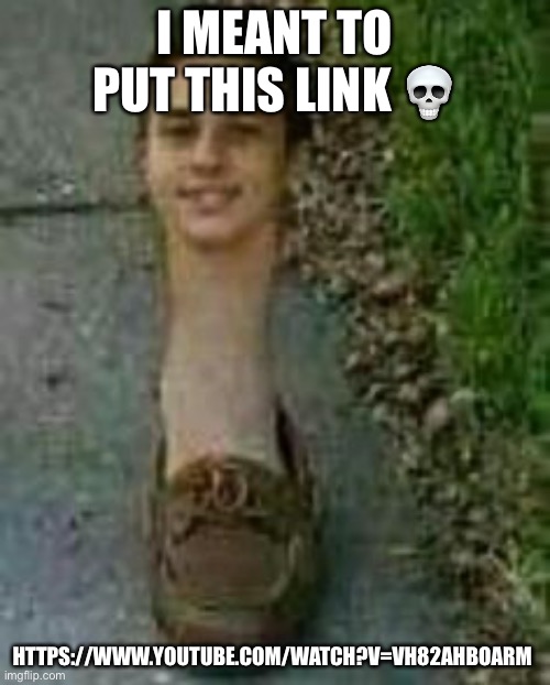 s h o e | I MEANT TO PUT THIS LINK 💀; HTTPS://WWW.YOUTUBE.COM/WATCH?V=VH82AHBOARM | image tagged in s h o e | made w/ Imgflip meme maker