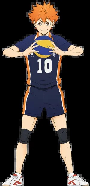 hinata with volleyball Blank Meme Template