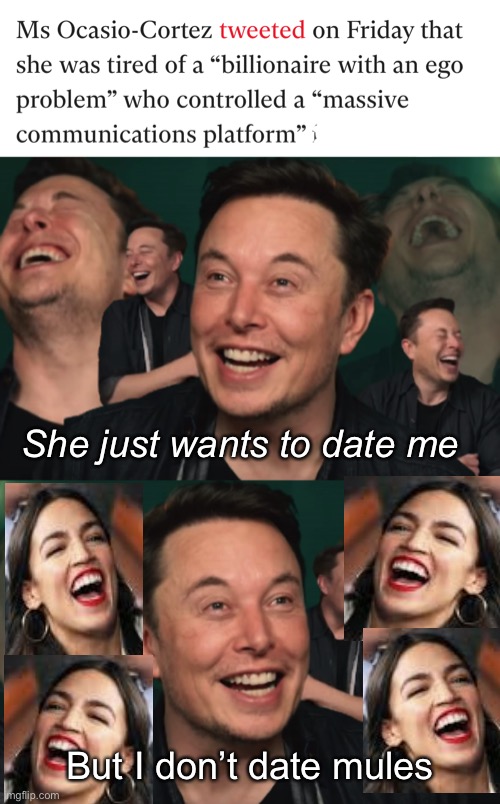 She just wants to date him | She just wants to date me; But I don’t date mules | image tagged in elon musk laughing,politics lol,memes | made w/ Imgflip meme maker