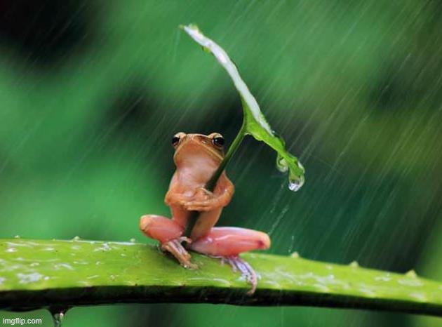 image tagged in awesome | made w/ Imgflip meme maker