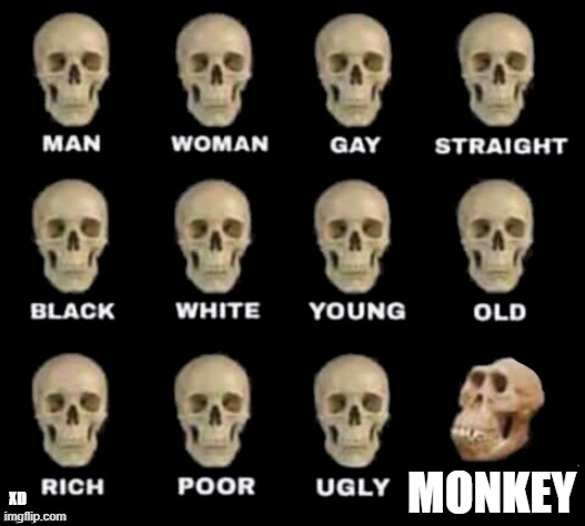 i hate bc | MONKEY; XD | image tagged in idiot skull,for,monkeys | made w/ Imgflip meme maker
