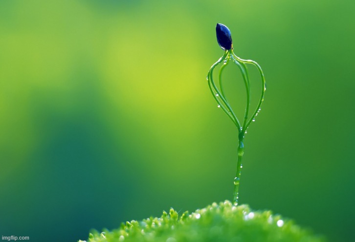 image tagged in awesome | made w/ Imgflip meme maker