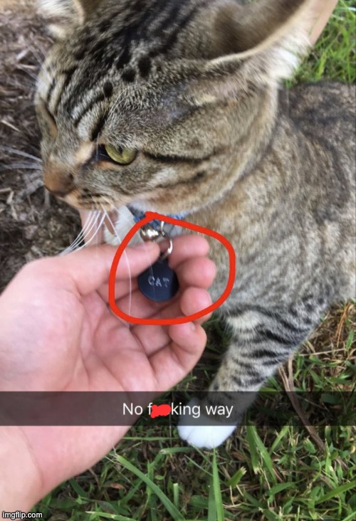 no way | image tagged in memes,unfunny | made w/ Imgflip meme maker