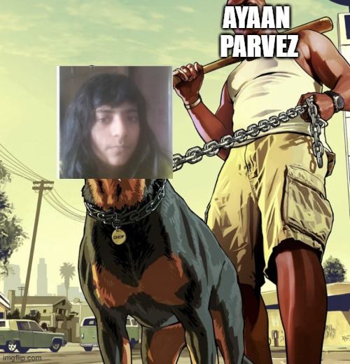 Gta dog | AYAAN
 PARVEZ | image tagged in gta dog | made w/ Imgflip meme maker