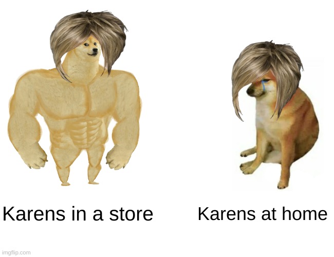 why are karens like this | Karens in a store; Karens at home | image tagged in memes,buff doge vs cheems | made w/ Imgflip meme maker