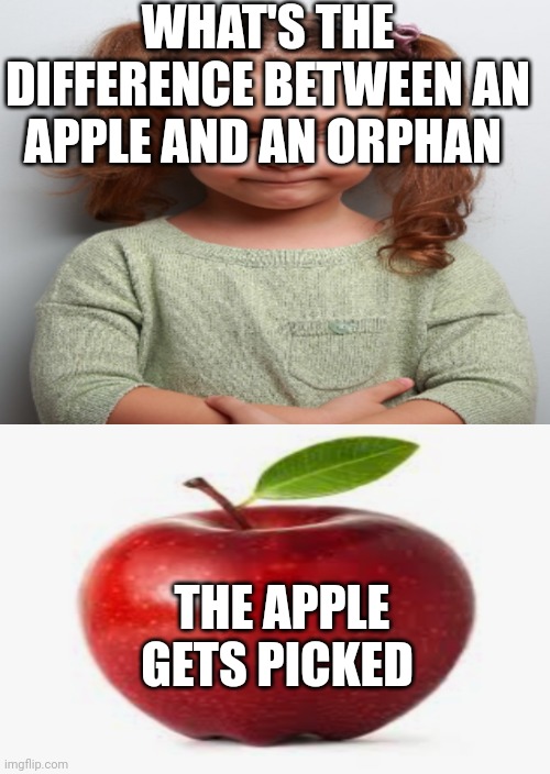 WHAT'S THE DIFFERENCE BETWEEN AN APPLE AND AN ORPHAN; THE APPLE GETS PICKED | made w/ Imgflip meme maker