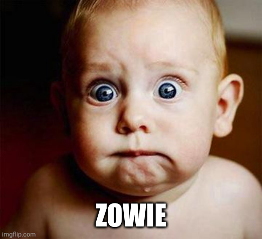 scared baby | ZOWIE | image tagged in scared baby | made w/ Imgflip meme maker