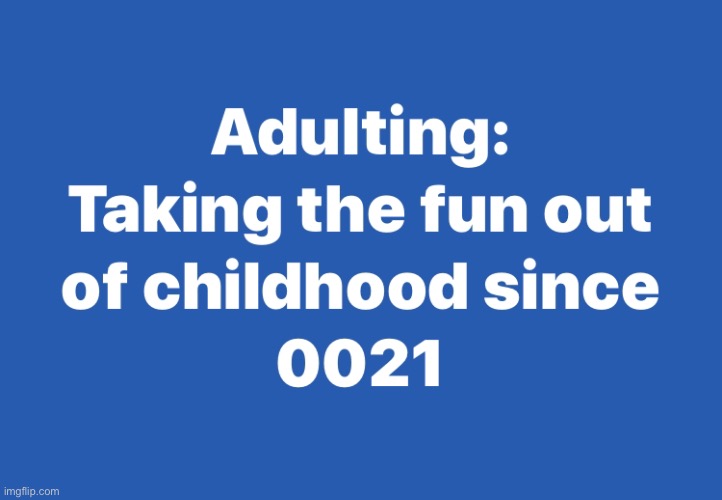 For My Kids | image tagged in adulting,0021,childhood | made w/ Imgflip meme maker