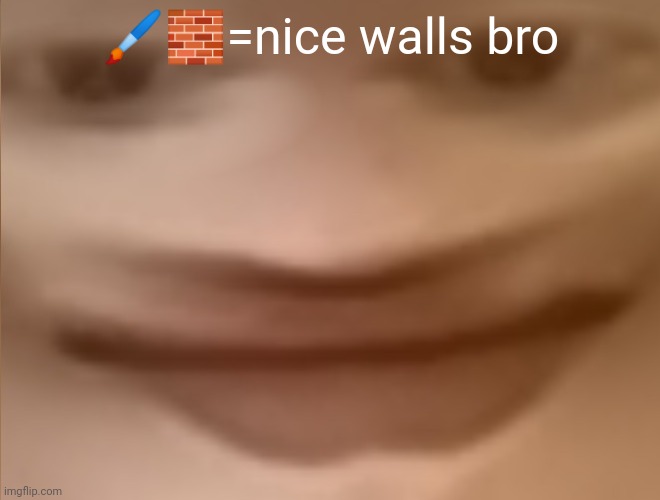 I have more of these images | 🖌️🧱=nice walls bro | image tagged in the | made w/ Imgflip meme maker