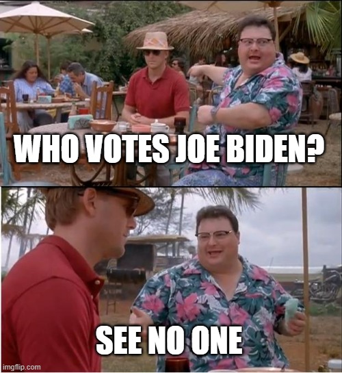 See Nobody Cares | WHO VOTES JOE BIDEN? SEE NO ONE | image tagged in memes,see nobody cares | made w/ Imgflip meme maker