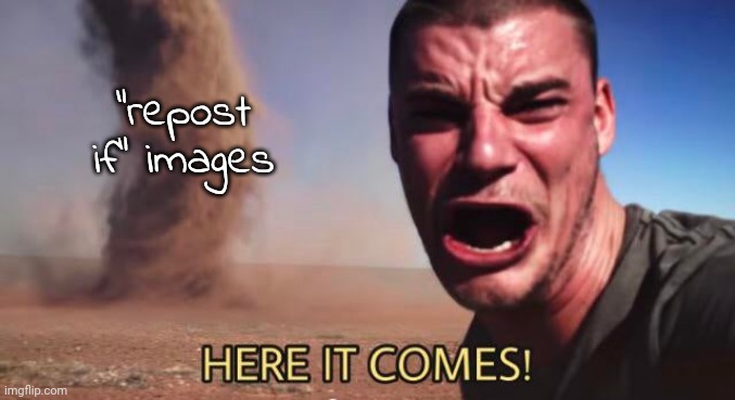 HERE IT COMES! | "repost if" images | image tagged in here it comes | made w/ Imgflip meme maker