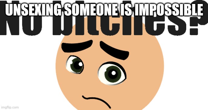 No Bitches but it's Default from Stick Nodes | UNSEXING SOMEONE IS IMPOSSIBLE | image tagged in no bitches stick nodes default | made w/ Imgflip meme maker
