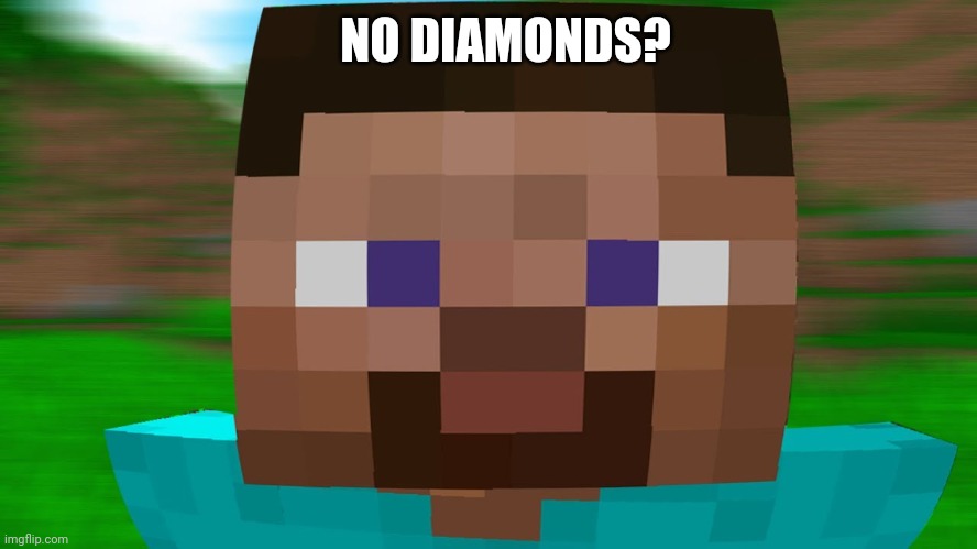 No Diamonds? (Template) | NO DIAMONDS? | image tagged in minecraft,no bitches,dank memes | made w/ Imgflip meme maker