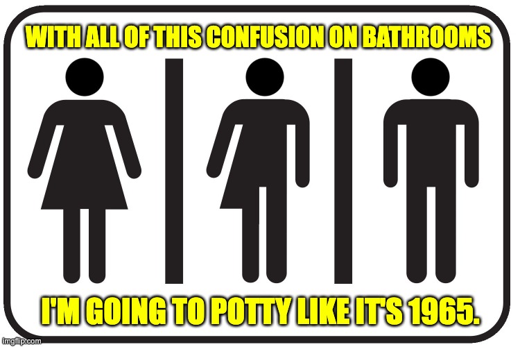 Bathrooms | WITH ALL OF THIS CONFUSION ON BATHROOMS; I'M GOING TO POTTY LIKE IT'S 1965. | image tagged in bathroom | made w/ Imgflip meme maker