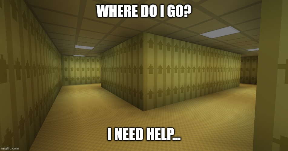 Lost... | WHERE DO I GO? I NEED HELP... | image tagged in backrooms,the backrooms,minecraft,minecraft memes | made w/ Imgflip meme maker