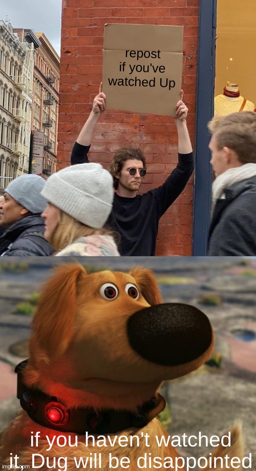 starting a new trend | repost if you've watched Up; if you haven't watched it, Dug will be disappointed | image tagged in memes,guy holding cardboard sign,dug the dog | made w/ Imgflip meme maker