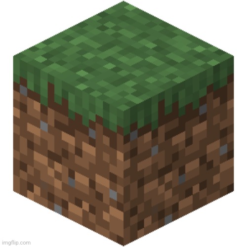 Minecraft Grass Block | image tagged in minecraft grass block | made w/ Imgflip meme maker