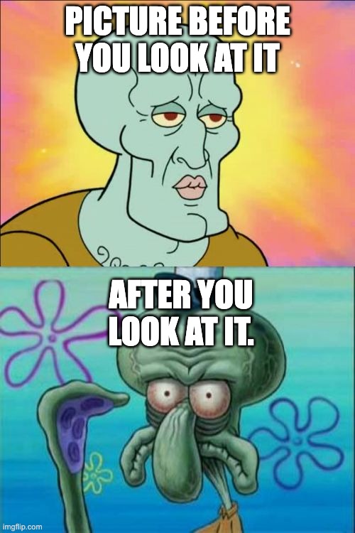 pictures XC | PICTURE BEFORE YOU LOOK AT IT; AFTER YOU LOOK AT IT. | image tagged in memes,squidward | made w/ Imgflip meme maker