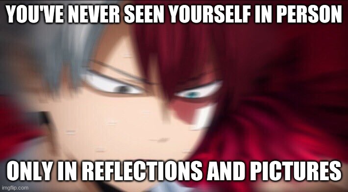 Todoroki Thinking | YOU'VE NEVER SEEN YOURSELF IN PERSON; ONLY IN REFLECTIONS AND PICTURES | image tagged in todoroki thinking | made w/ Imgflip meme maker