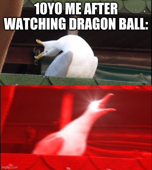 screaming seagull | 10YO ME AFTER WATCHING DRAGON BALL: | image tagged in screaming seagull | made w/ Imgflip meme maker