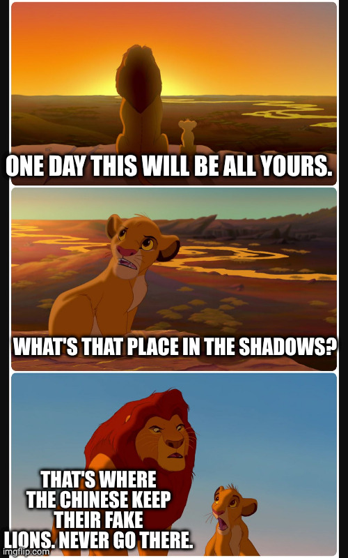 Lion King Shadows Stack | ONE DAY THIS WILL BE ALL YOURS. WHAT'S THAT PLACE IN THE SHADOWS? THAT'S WHERE THE CHINESE KEEP THEIR FAKE LIONS. NEVER GO THERE. | image tagged in lion king shadows stack | made w/ Imgflip meme maker