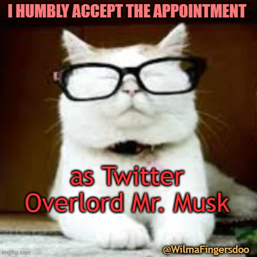 I HUMBLY ACCEPT THE APPOINTMENT; as Twitter Overlord Mr. Musk; @WilmaFingersdoo | image tagged in catturd,elon,twitter | made w/ Imgflip meme maker