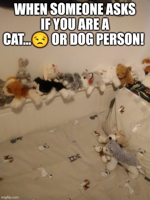 Dog's | WHEN SOMEONE ASKS IF YOU ARE A CAT...😒 OR DOG PERSON! | image tagged in dog lovers | made w/ Imgflip meme maker
