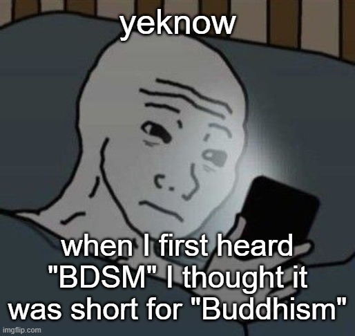 Sad shit .-. | yeknow; when I first heard "BDSM" I thought it was short for "Buddhism" | image tagged in why | made w/ Imgflip meme maker