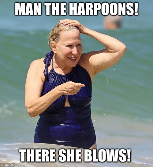 Bette Midler | MAN THE HARPOONS! THERE SHE BLOWS! | image tagged in bette midler | made w/ Imgflip meme maker