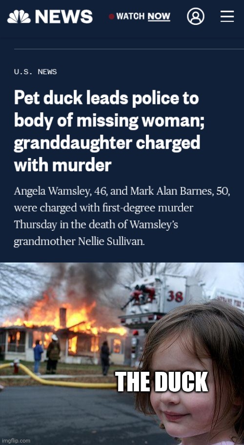 Lol get caught bozo | THE DUCK | image tagged in memes | made w/ Imgflip meme maker